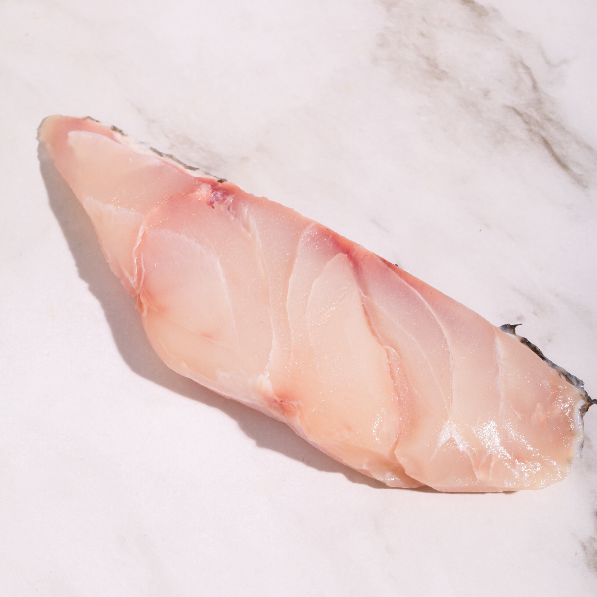 Wild Orange Spotted Grouper Fillet